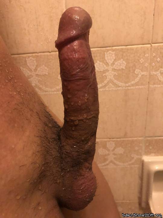 Adult image from Saku