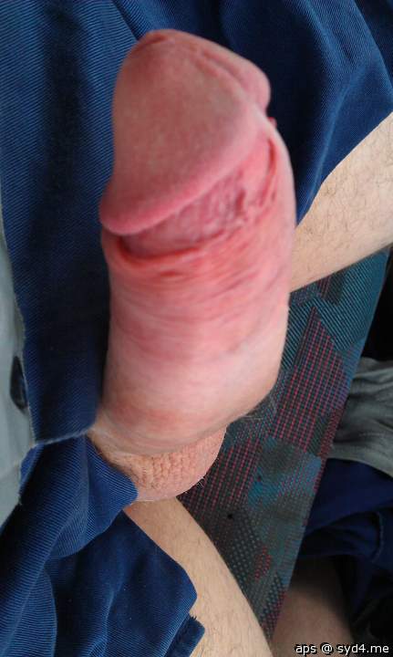 Adult image from Aps