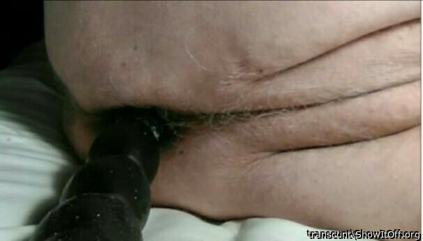 Adult image from transcunt