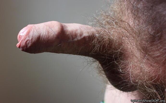 Side view of my cock