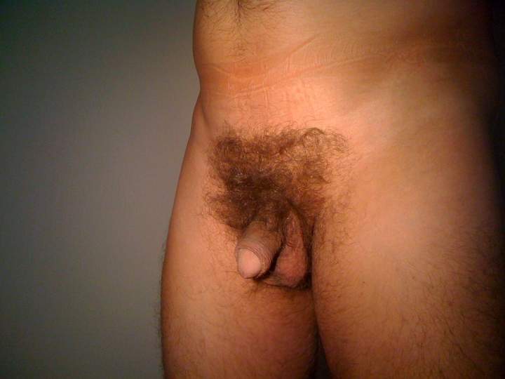 Adult image from Tommotino
