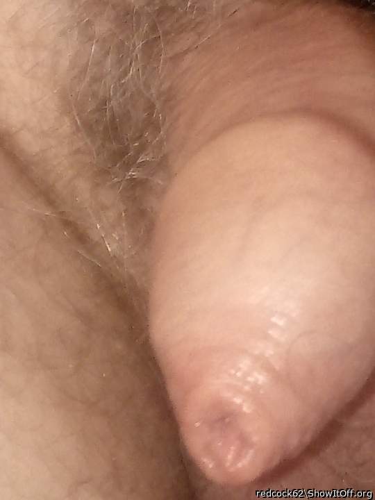 Adult image from redcock62