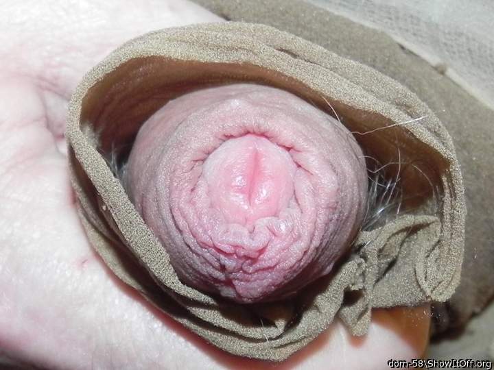 Adult image from dom-58