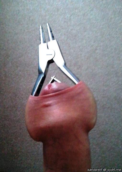 Adult image from xander69