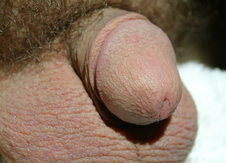 Adult image from lilsoftee