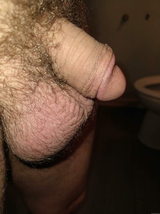 Adult image from Tnelson88