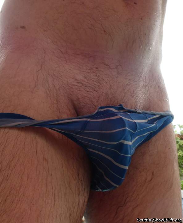 Adult image from Scuttle
