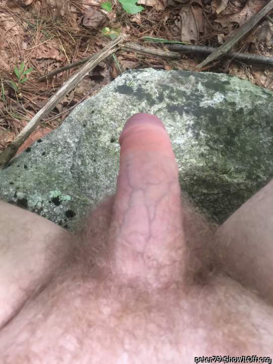 Adult image from peter79