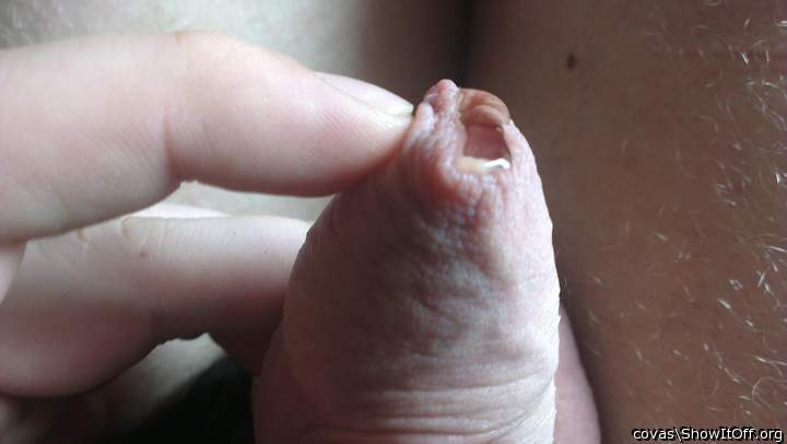 Adult image from covas