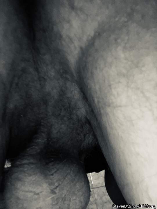 Adult image from StevieD