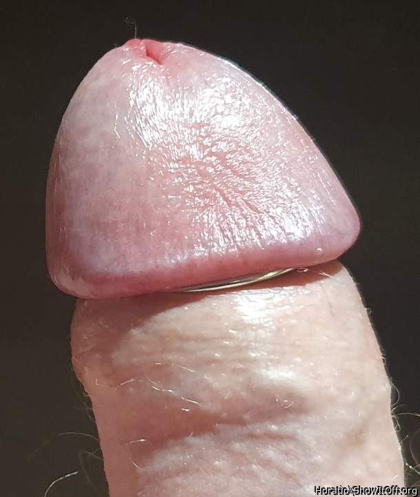 Adult image from Horatio