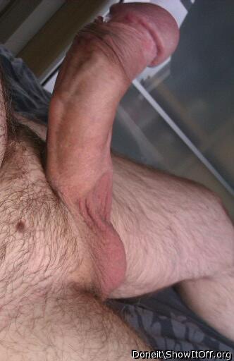 Adult image from Bananacock