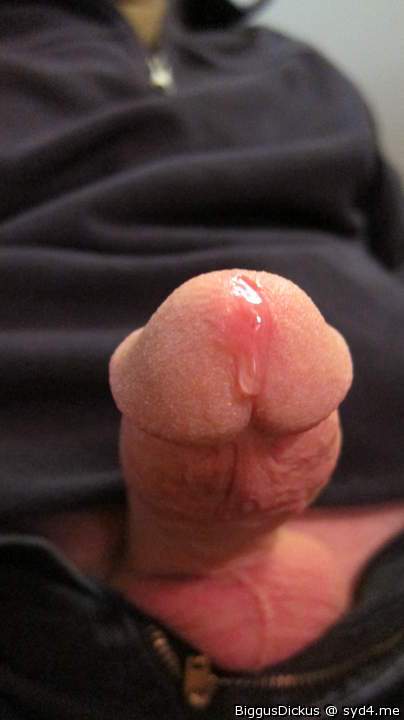 Adult image from BiggusDickus
