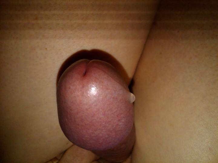 Adult image from protwin