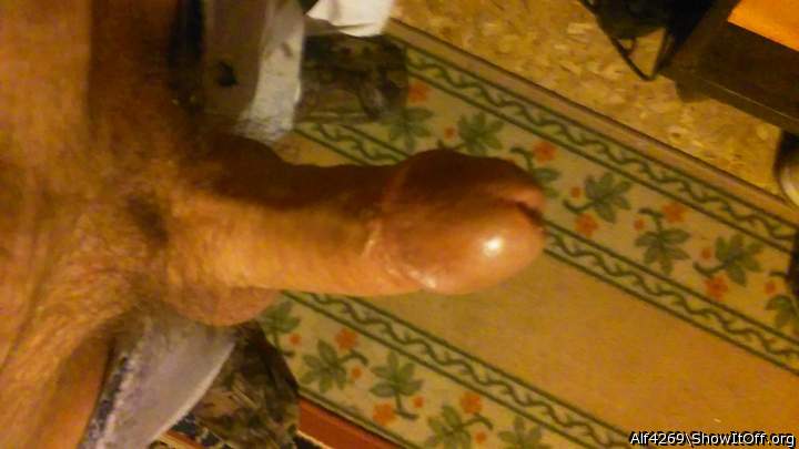 Adult image from Alf4269