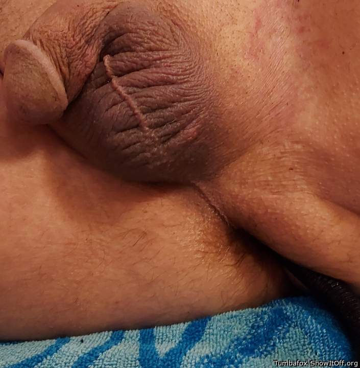 Adult image from Tumbafox