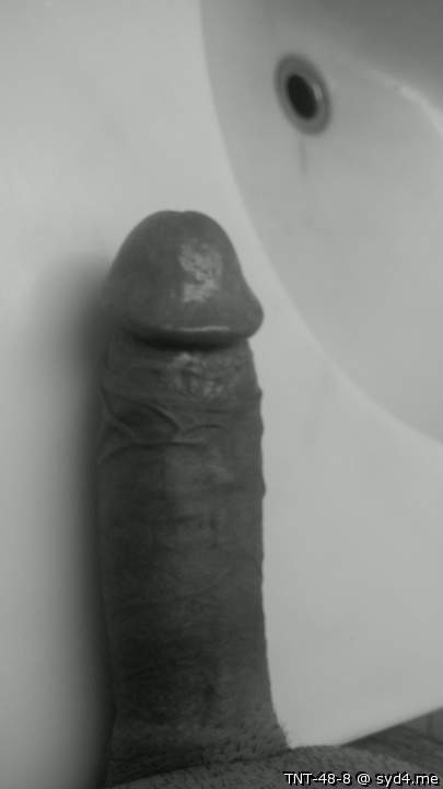 Adult image from TNT-48-8