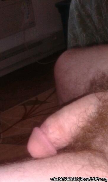 Adult image from PeterPecker