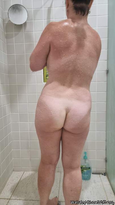 Adult image from Wallaby