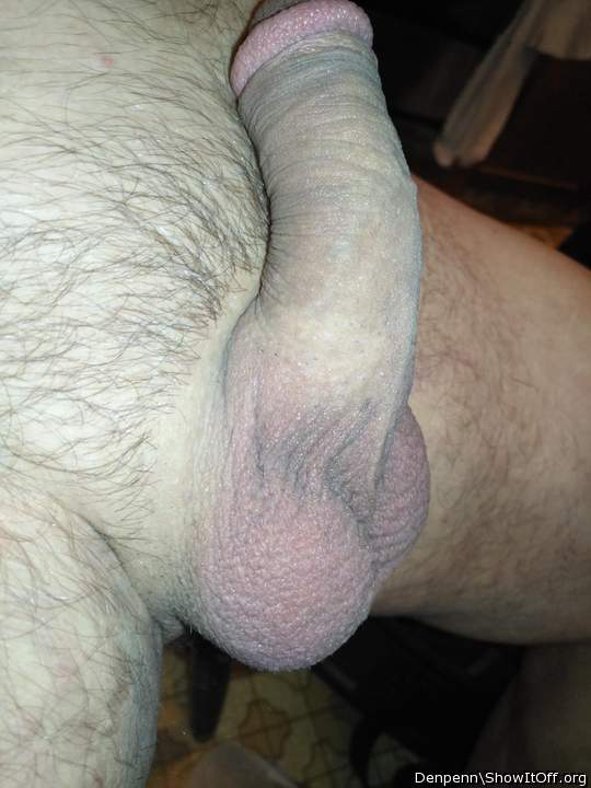 Adult image from Denpenn