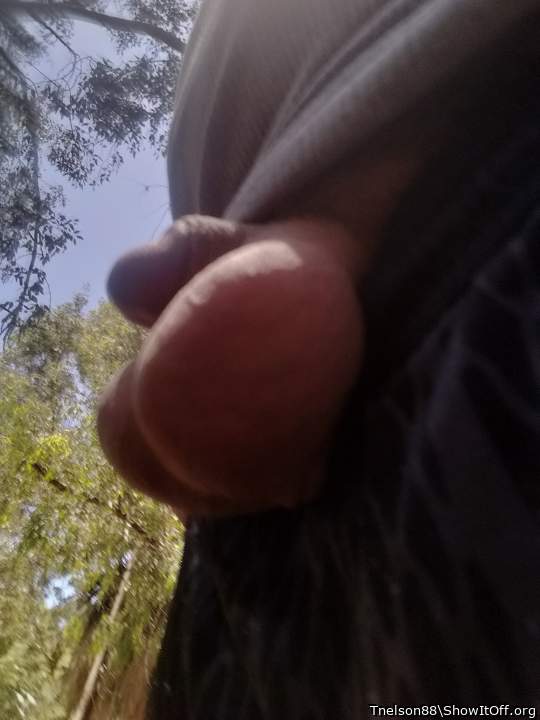 Adult image from Tnelson88