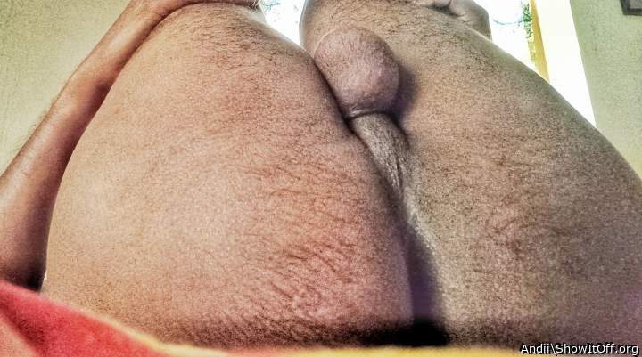 Adult image from Andii