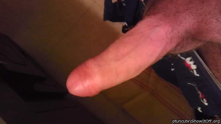 Adult image from ptuncutx
