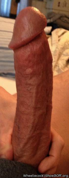 Adult image from Wheeliecock