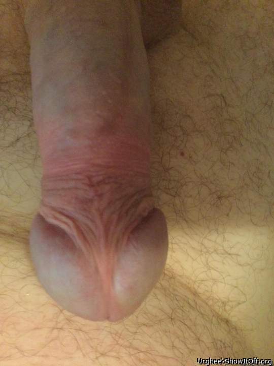 Adult image from Urghee