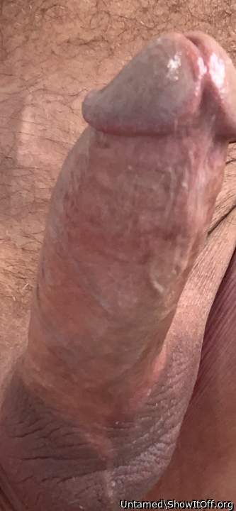 Adult image from Untamed