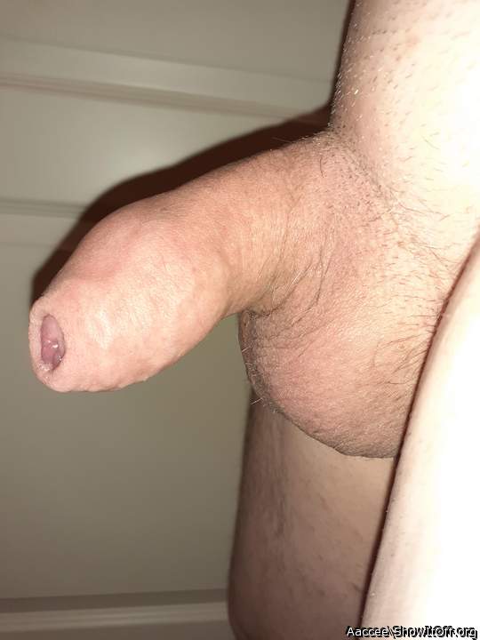 perfect smooth dick 