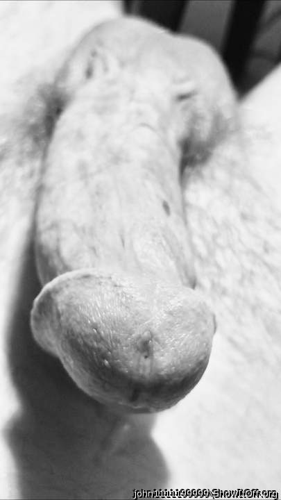 Adult image from John1111199999
