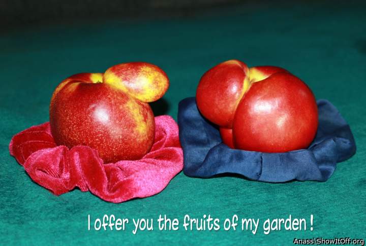 For you my friends