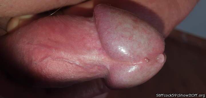 Adult image from Stiffcock59