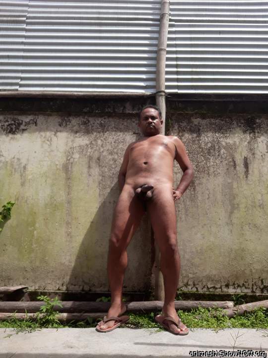 Adult image from Animesh