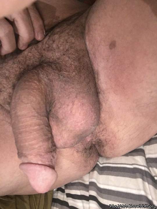 Adult image from Pibo2020