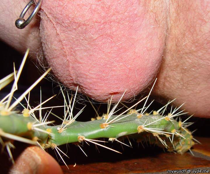 Adult image from mywusch