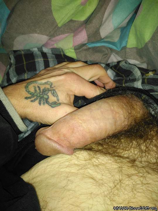 Adult image from Alf4269