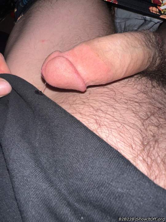 Adult image from B2B22B