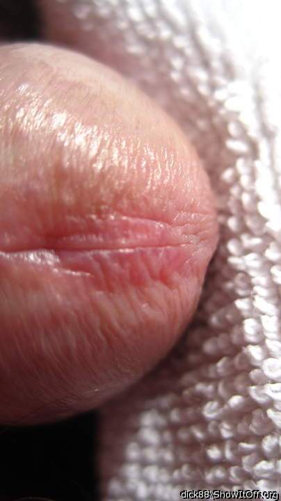 Adult image from Dick88