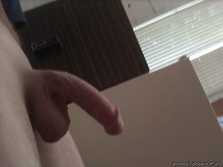 Adult image from Birddog7