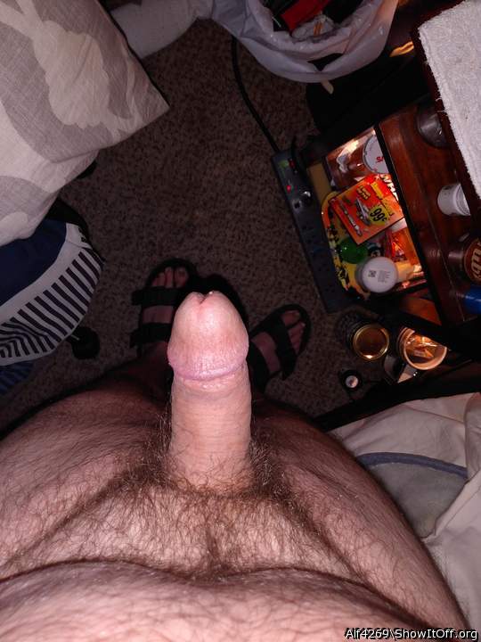 Adult image from Alf4269