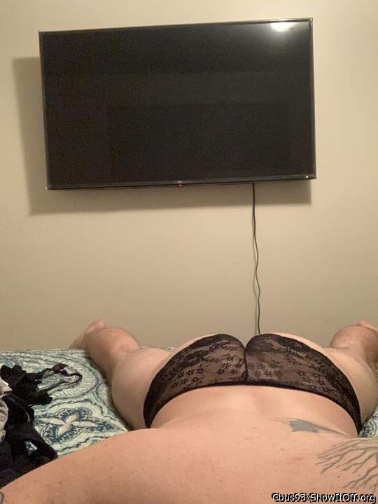 Adult image from Cbus93