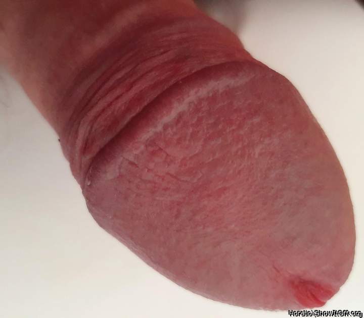 Adult image from Horatio