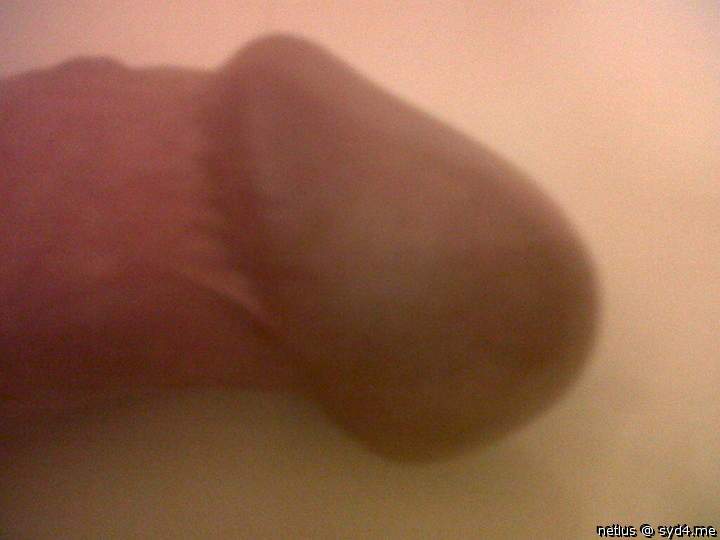 Adult image from netlus
