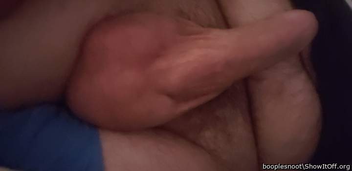 Adult image from booplesnoot