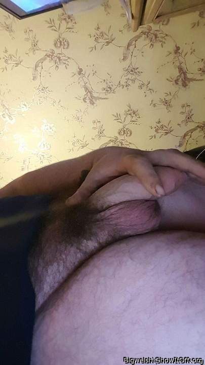 Adult image from bigwelsh