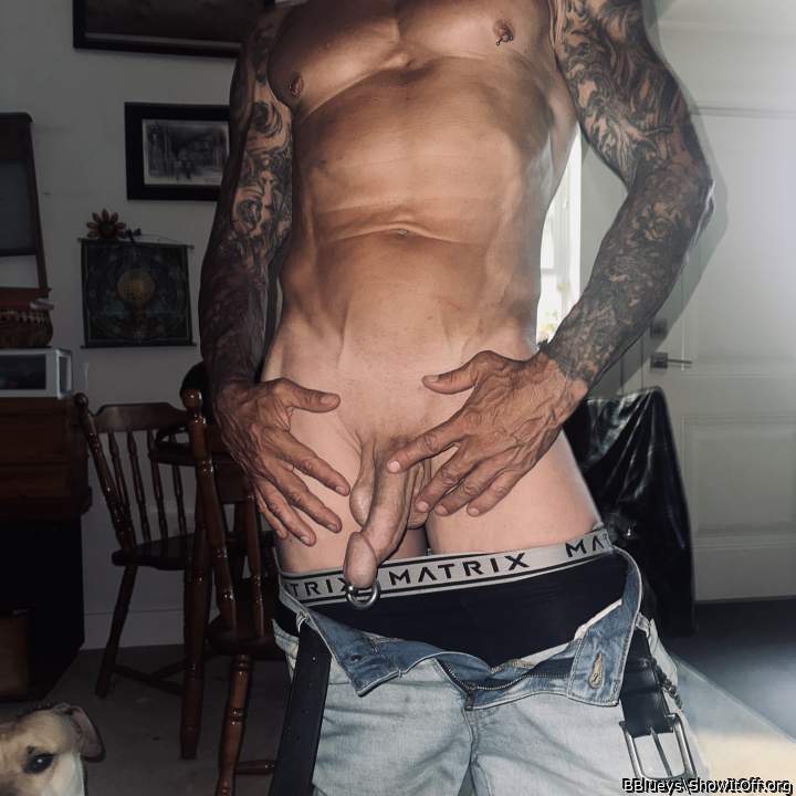 Adult image from BBlueys