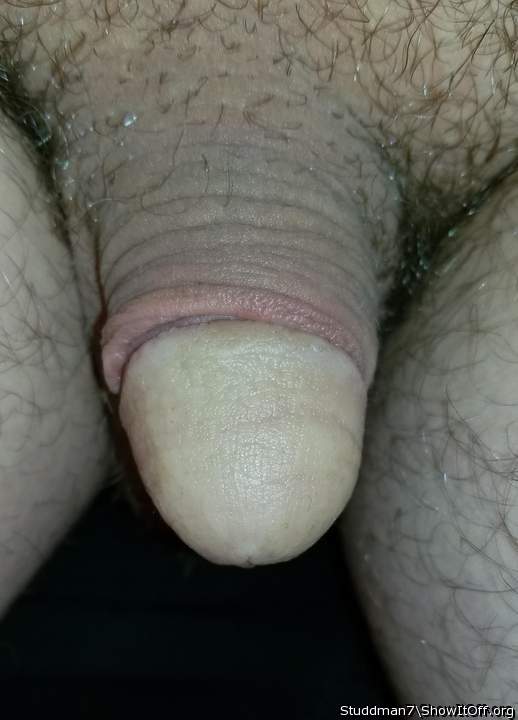 Adult image from Studdman7