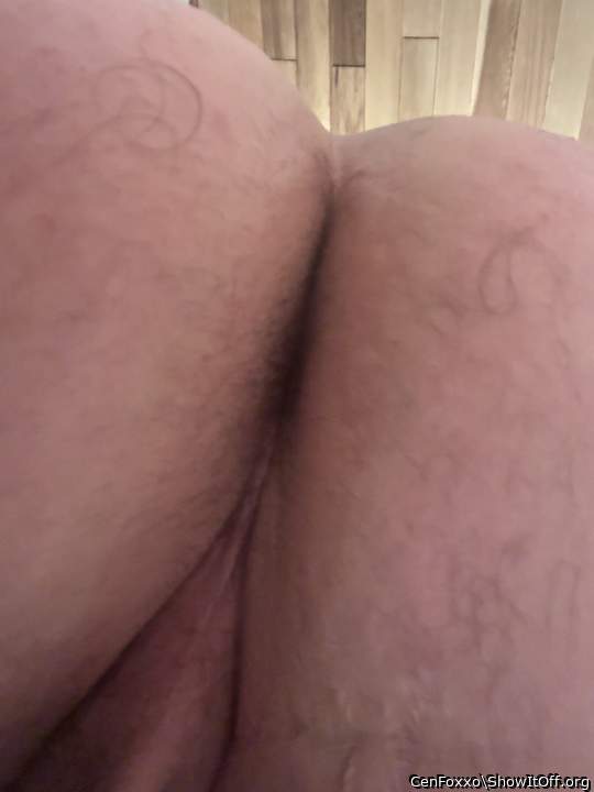 Adult image from CenFoxxo